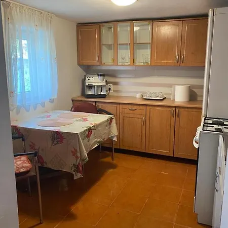 Casa Ionela Holiday home *